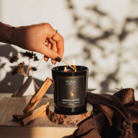 Sandalwood - świeca sojowa drzewo sandałowe