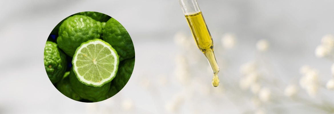 Jak pachnie bergamotka ?