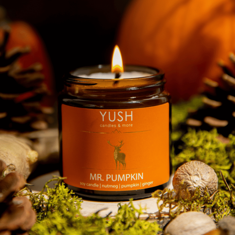Mr. Pumpkin - dyniowa świeca sojowa