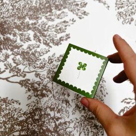 Zapałki koniczynka - YUSH