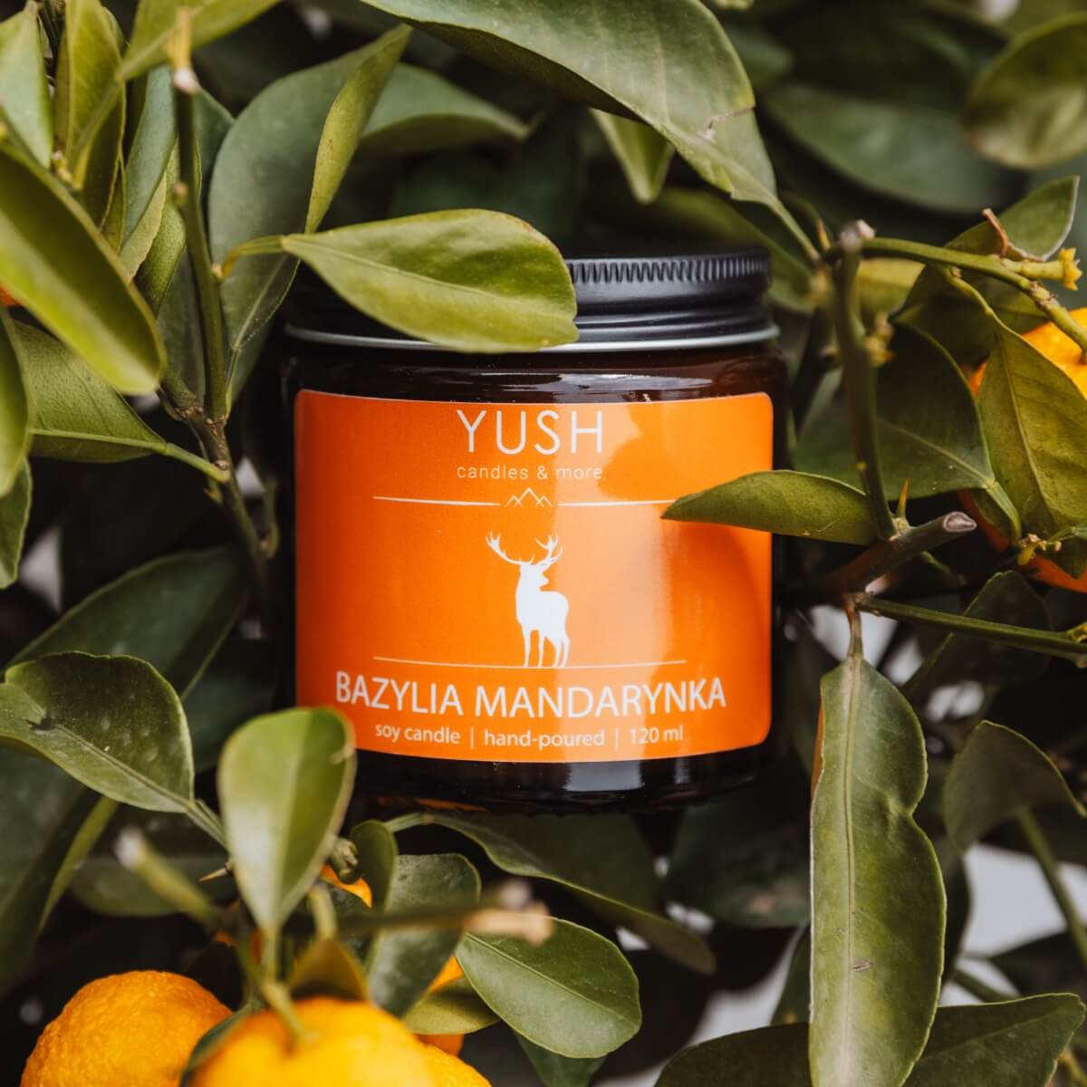 Bazylia Mandarynka - świeca sojowa Bazylia Mandarynka - świeca sojowa
